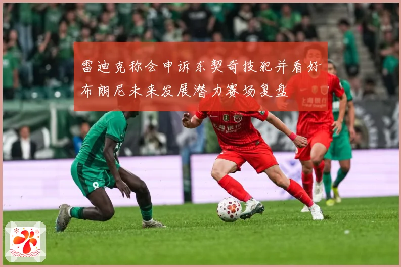 雷迪克称会申诉东契奇技犯并看好布朗尼未来发展潜力赛场复盘
