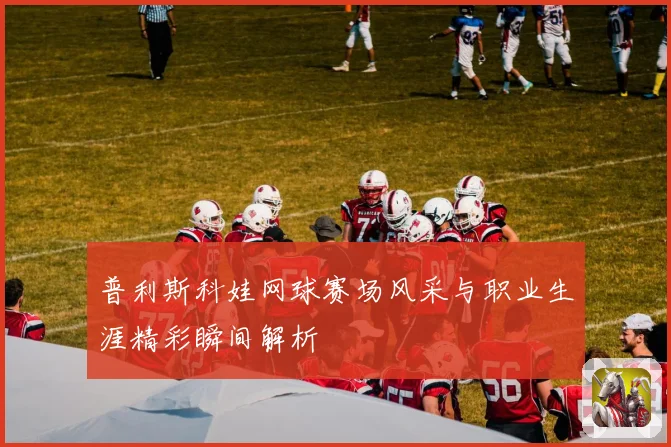 普利斯科娃网球赛场风采与职业生涯精彩瞬间解析