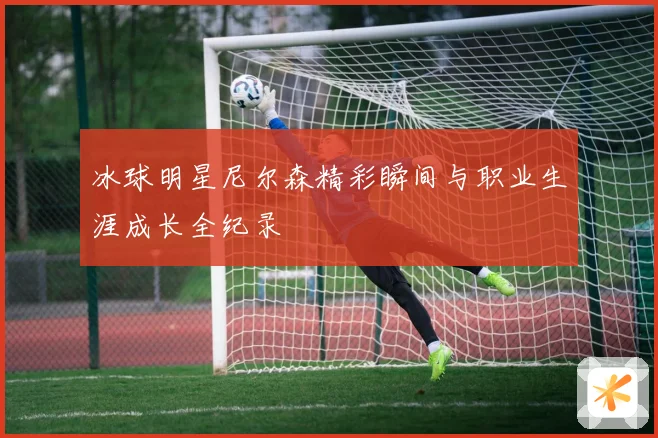 冰球明星尼尔森精彩瞬间与职业生涯成长全纪录