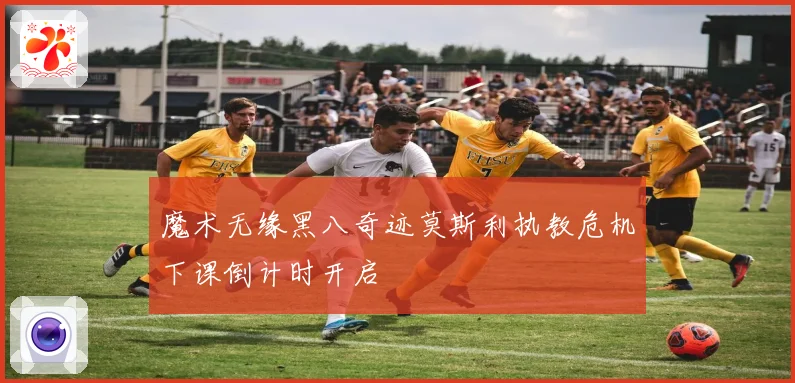 魔术无缘黑八奇迹莫斯利执教危机下课倒计时开启