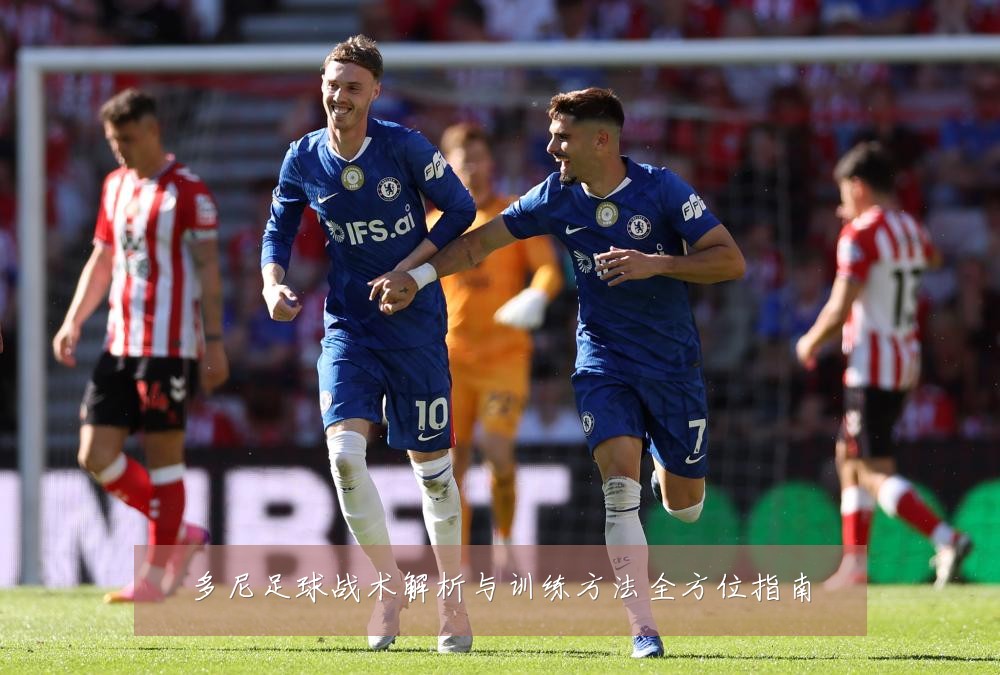 多尼足球战术解析与训练方法全方位指南